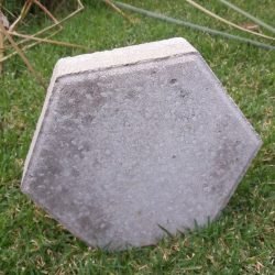 87d92681-a4b5-4b76-a83f-0f15b76988c9